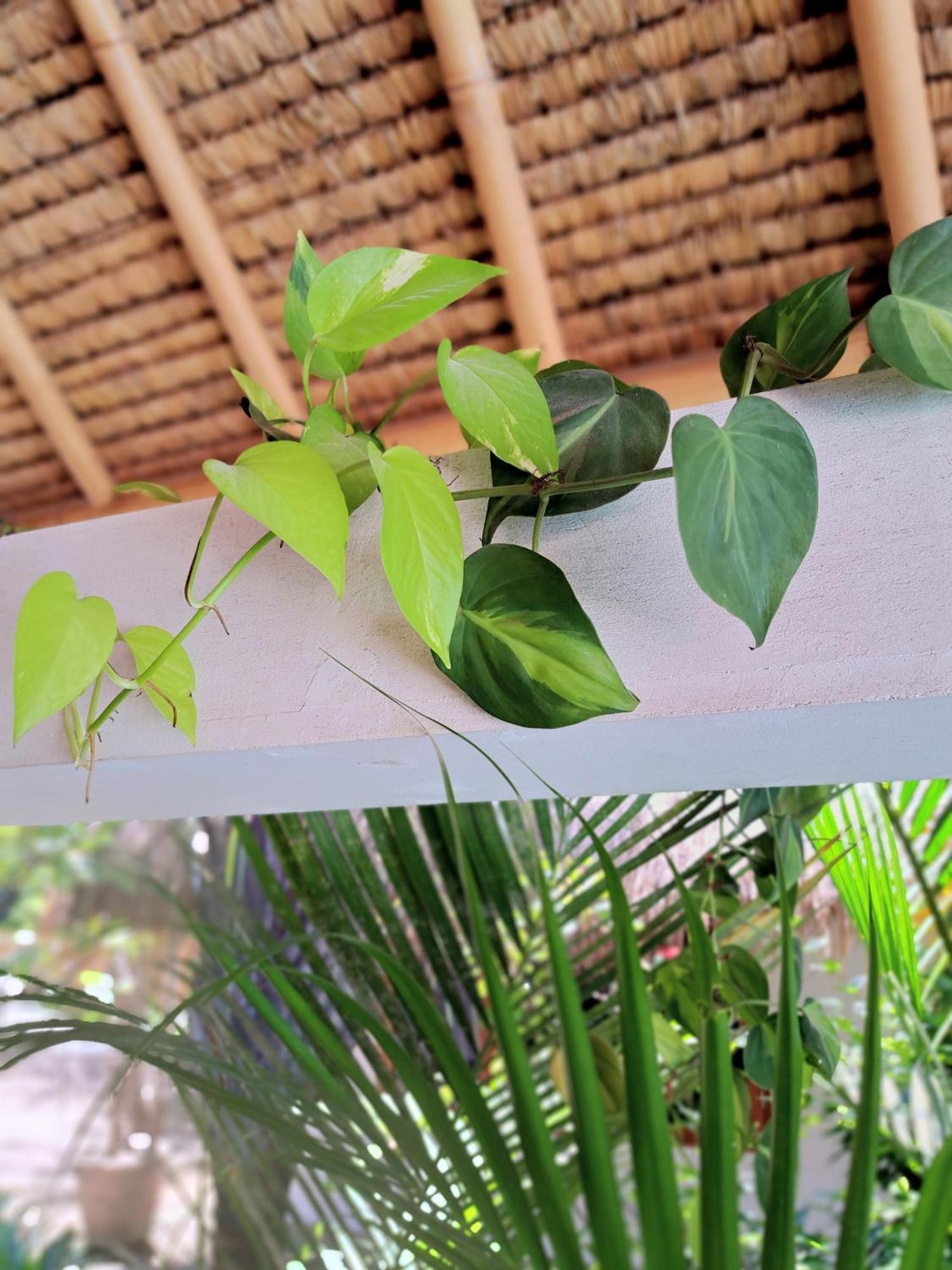 Eden Eco Resort Gili Trawangan Zewnętrze zdjęcie